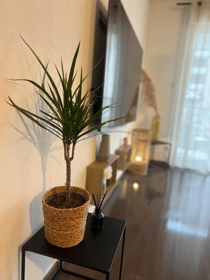 Appartamento T2 Cosy Ajaccio Ajaccio  Esterno foto